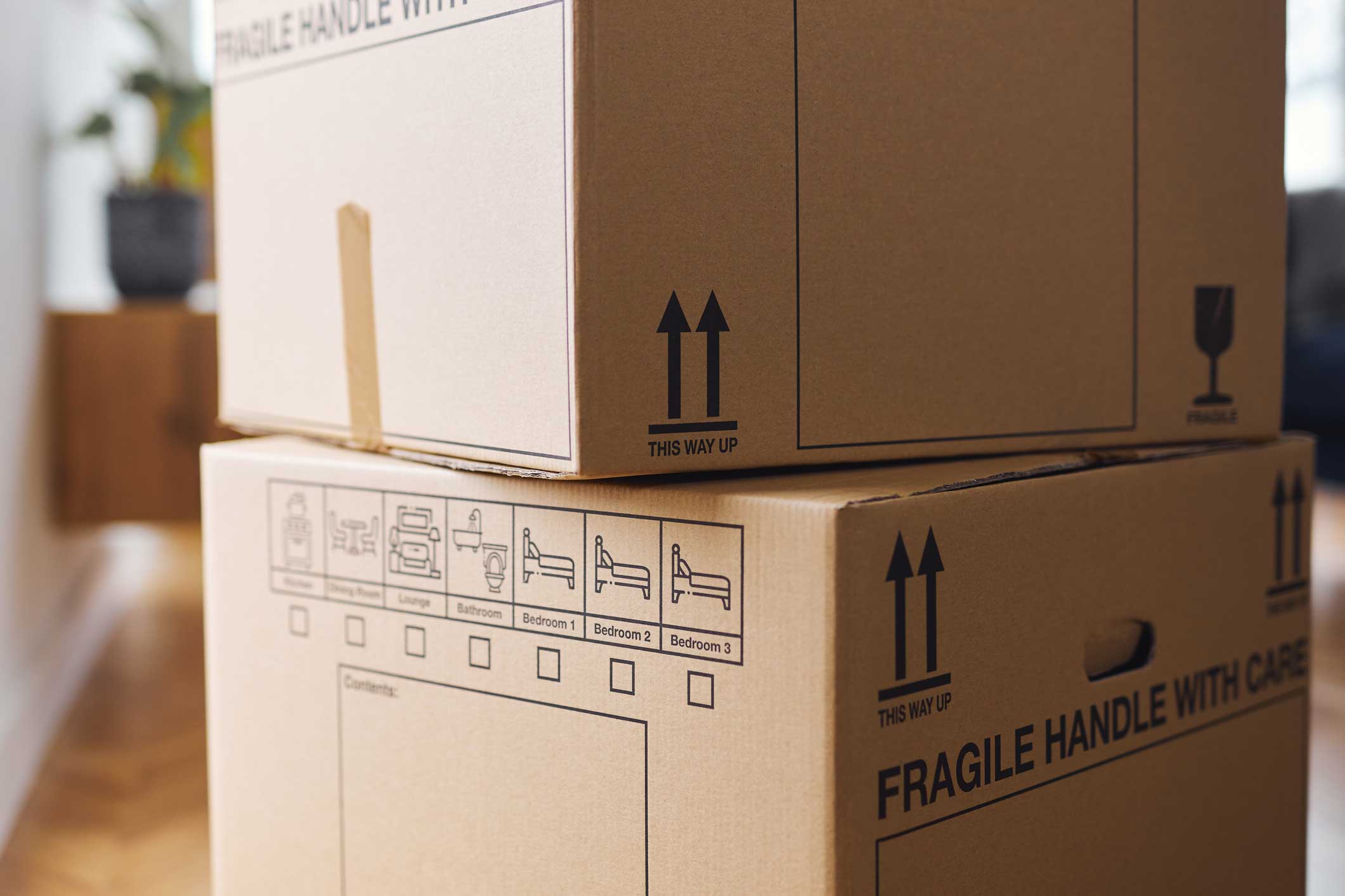 Packing Services